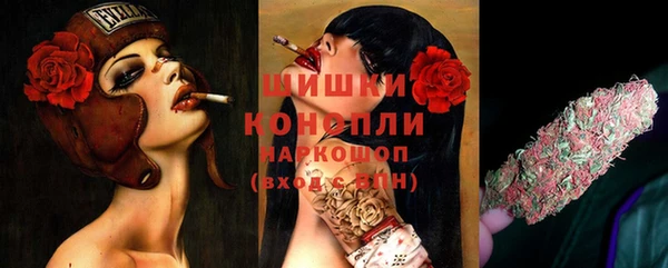 гидра Ельня