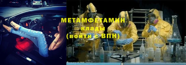 гидра Ельня