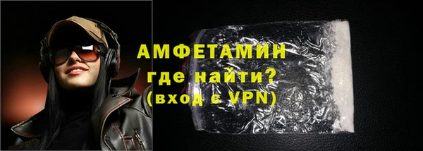 гидра Ельня