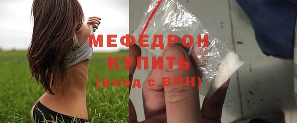 гидра Ельня