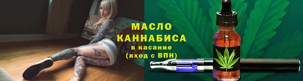 гидра Ельня