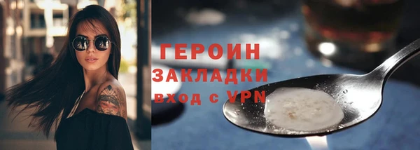 гидра Ельня