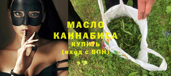 гидра Ельня