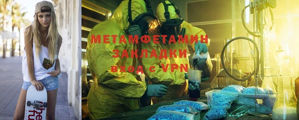 гидра Ельня