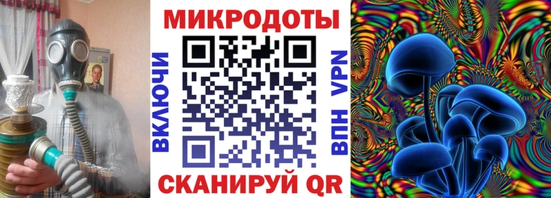 Галлюциногенные грибы Psilocybine cubensis Нерюнгри