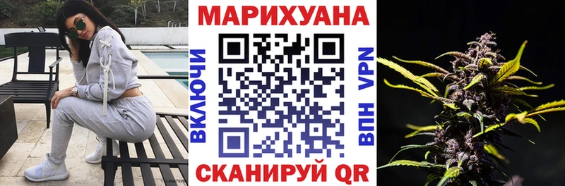 Купить где  Нерюнгри  Конопля индика 